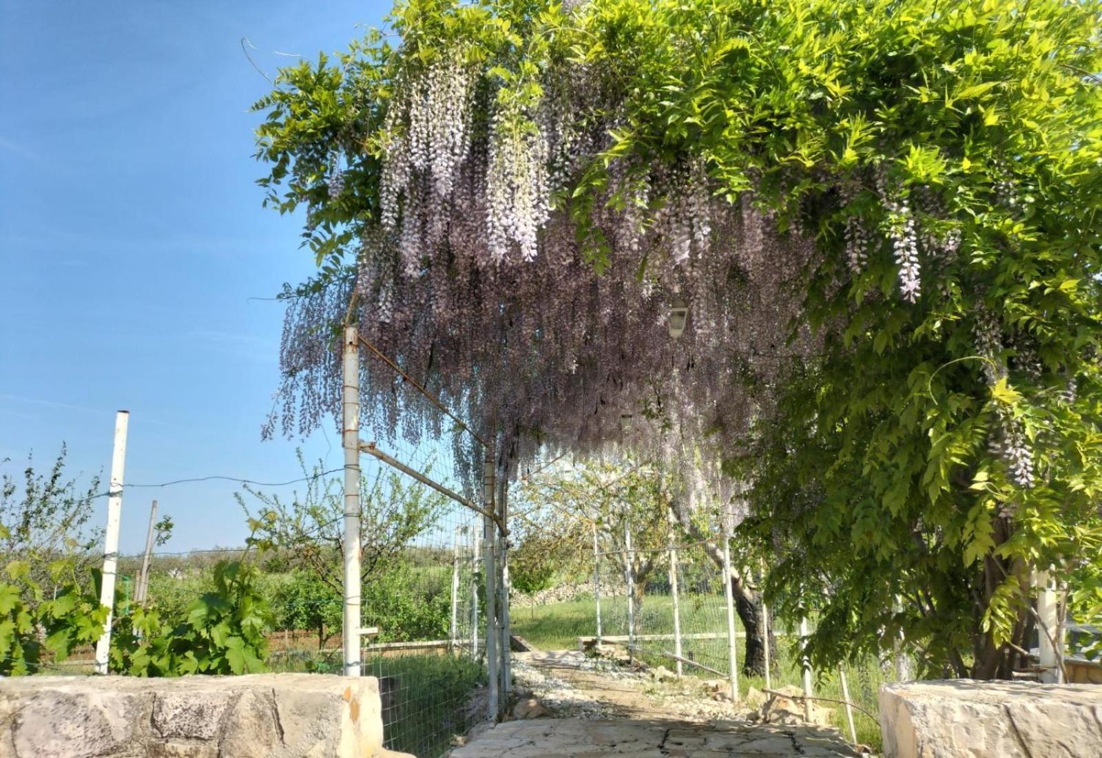 Il Giardino Delle Fate Hotel La Correggia Buitenkant foto