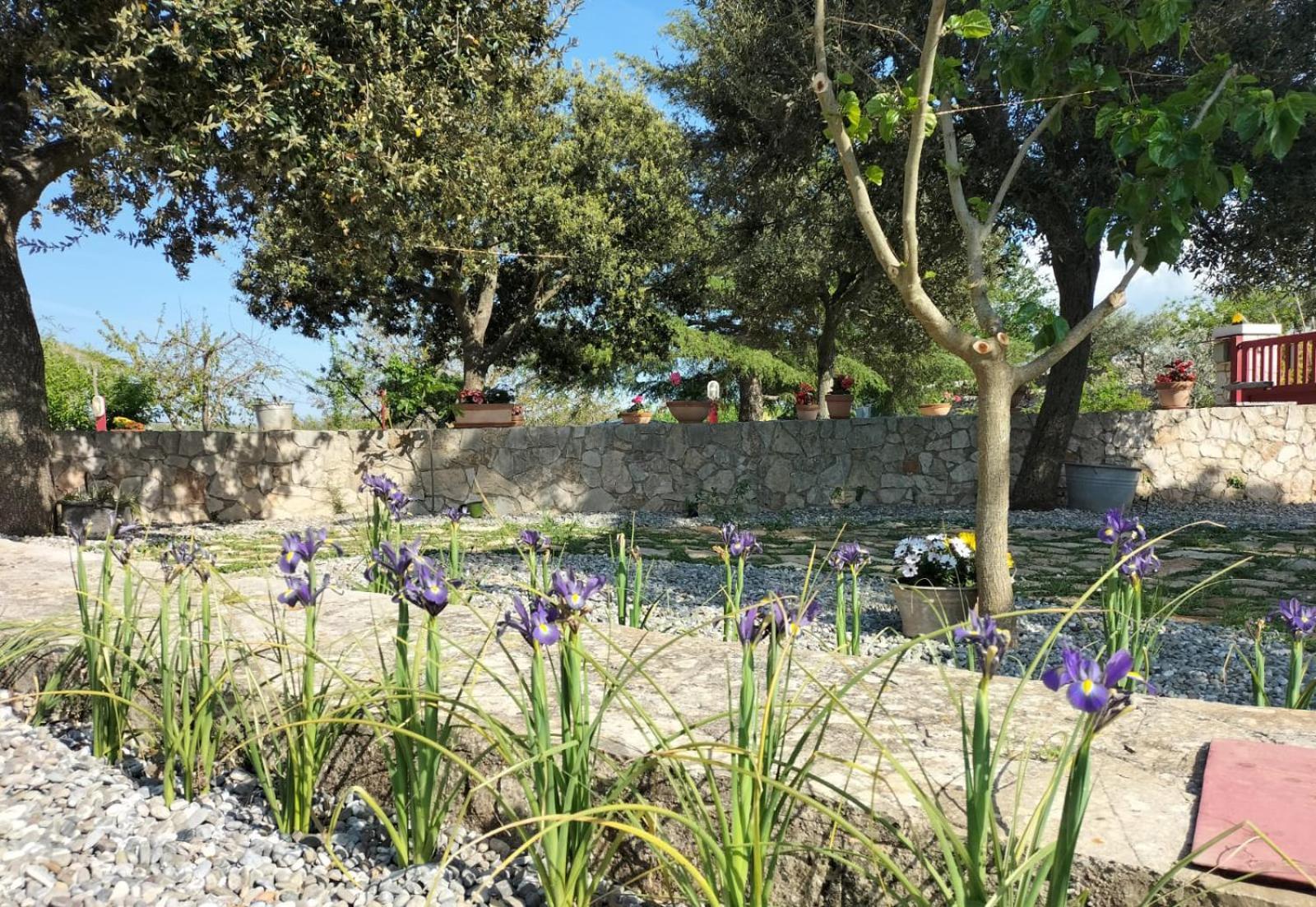 Il Giardino Delle Fate Hotel La Correggia Buitenkant foto